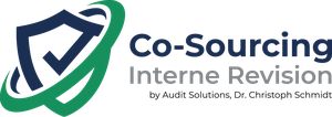 Co-Sourcing der Internen Revision